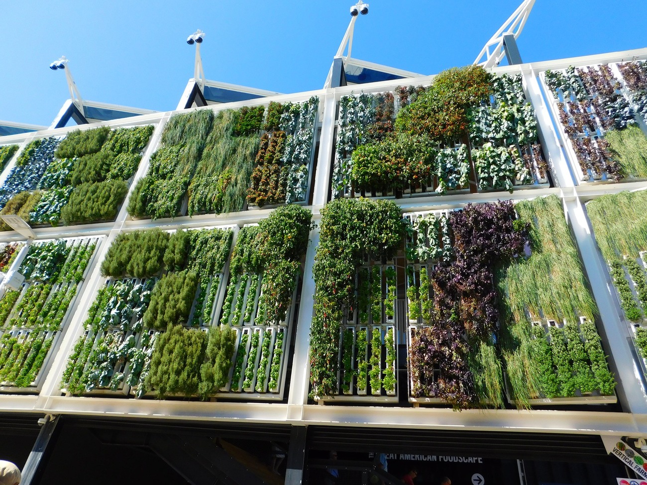 il-verde-verticale-davvero-sostenibile-aboutplants